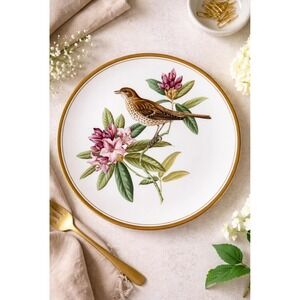 Spode Garden Birds Plate No. 5 of 6 Mistle Thrush Plate England Gold Trim 9.5"